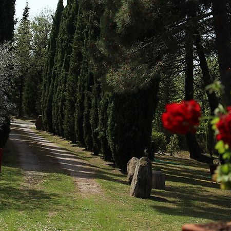 BucineL'Antica Pala别墅 外观 照片